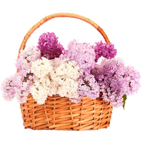 Корзина с цветами «Ягодный сад»